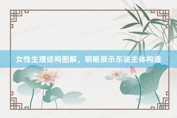 女性生理结构图解，明晰展示东谈主体构造